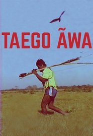 Taego Ãwa Poster