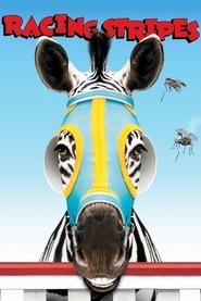 poster Racing Stripes