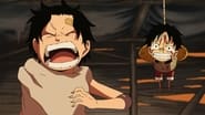 One Piece season 13 episode 495