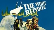 Backdrop of The White Reindeer image size 1920x1080