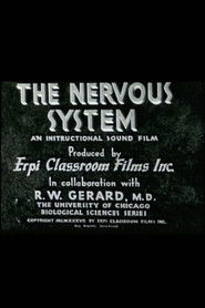 The Nervous System