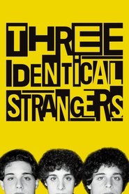 poster Three Identical Strangers