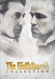 Poster image size 1000x1426