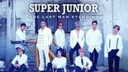 Super Junior : 15 ans de scène  