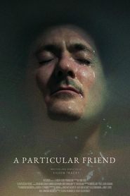 poster A Particular Friend