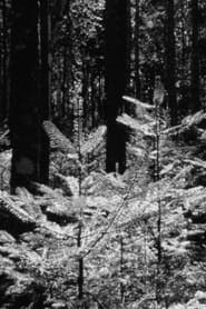 poster The Forest and The Sea