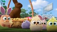 An Easter Message from the Hatchlings of the Angry Birds Movie wallpaper 