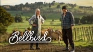 Bellbird wallpaper 