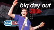 Backdrop of blink-182 - Live from Big Day Out Sydney 2000 image size 1280x720