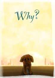 poster Why?