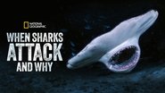Backdrop of When Sharks Attack... and Why image size 3840x2160