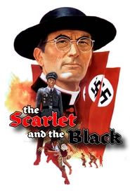 poster The Scarlet and the Black