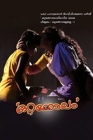 poster Ottakolam