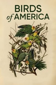 poster Birds of America