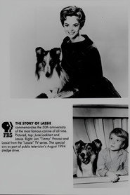 gallery-thumbnail
