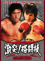 四角いジャングル 激突！格闘技 poster