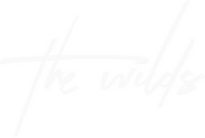 Logo of The Wilds image size 811x550