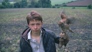 Kes wallpaper 