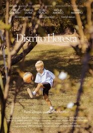 poster Distrito Floresta