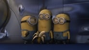 La Folie des Minions : Banana wallpaper 