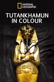 Poster of Tutankhamun In Colour image size 500x750