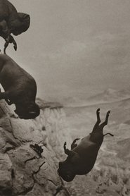 gallery-thumbnail