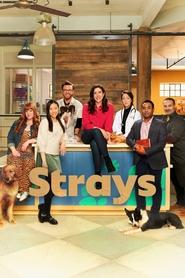 Poster of Strays image size 2000x3000