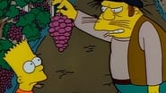 Les Simpson season 1 episode 11
