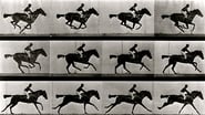 Eadweard wallpaper 