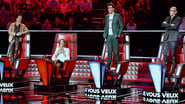 The Voice : La Plus Belle Voix  