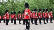 The Queen's Guards: A Year In Service  