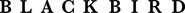 Logo of Black Bird image size 3757x260