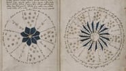 Le Mystère du manuscrit de Voynich wallpaper 