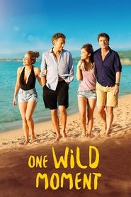poster One Wild Moment