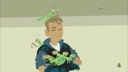 Wild Kratts season 3 episode 16