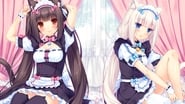 Nekopara wallpaper 