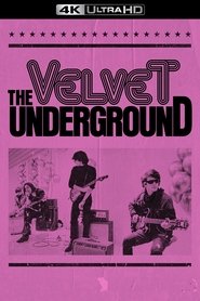 Poster of The Velvet Underground image size 1000x1500
