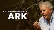 Attenborough's Ark wallpaper 