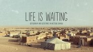 Backdrop of Life Is Waiting: Referendum and Resistance in Western Sahara image size 3840x2160