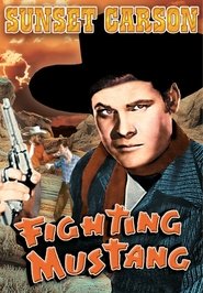 poster Fighting Mustang
