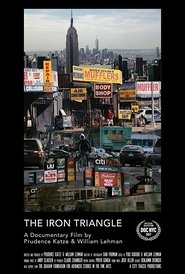 The Iron Triangle: Willets Point and the Remaking of New York