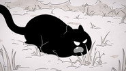 Upset Stomach