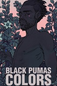 poster Colors