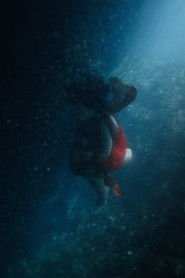 poster Scarlet Girls