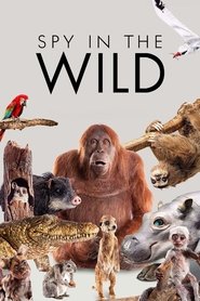 Poster of Spy in the Wild image size 1000x1500