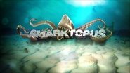 Backdrop image size 1280x720