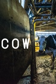 Cow 2022 123movies