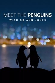 poster Meet the Penguins
