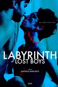 poster Labyrinth of Lost Boys