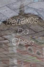 Reflexos da Cheia